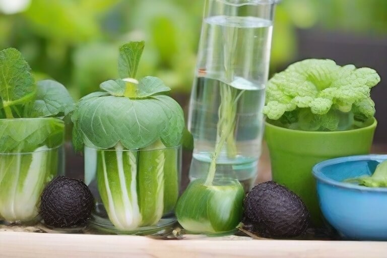 Discover 6 enchanting methods to effortlessly regrow vegetables using only water.